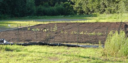 Planting Started 071209